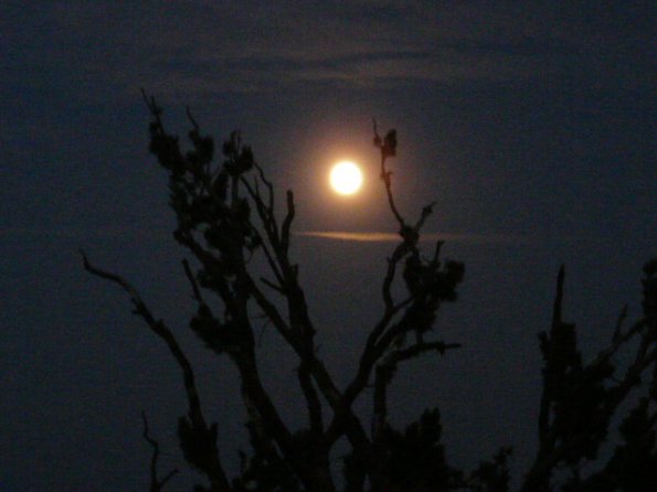Moon over Carson Valley